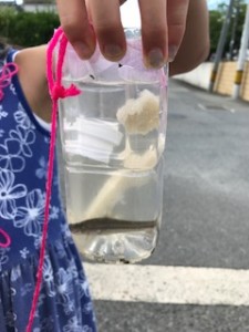 仕掛けペットボトル