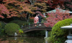 長府庭園紅葉