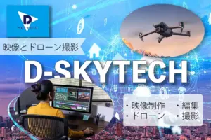 D-skytech