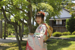 瑠璃光寺五重の塔