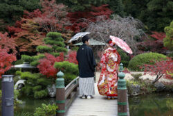 長府庭園紅葉
