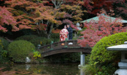 長府庭園紅葉