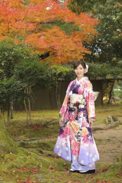 ロケーション撮影紅葉